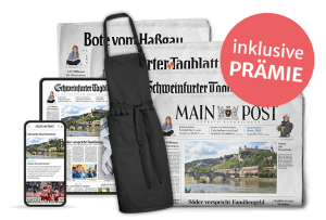 Grillschürze-WP
